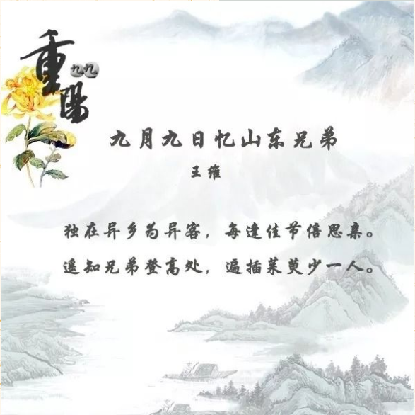 1570498813755982.png